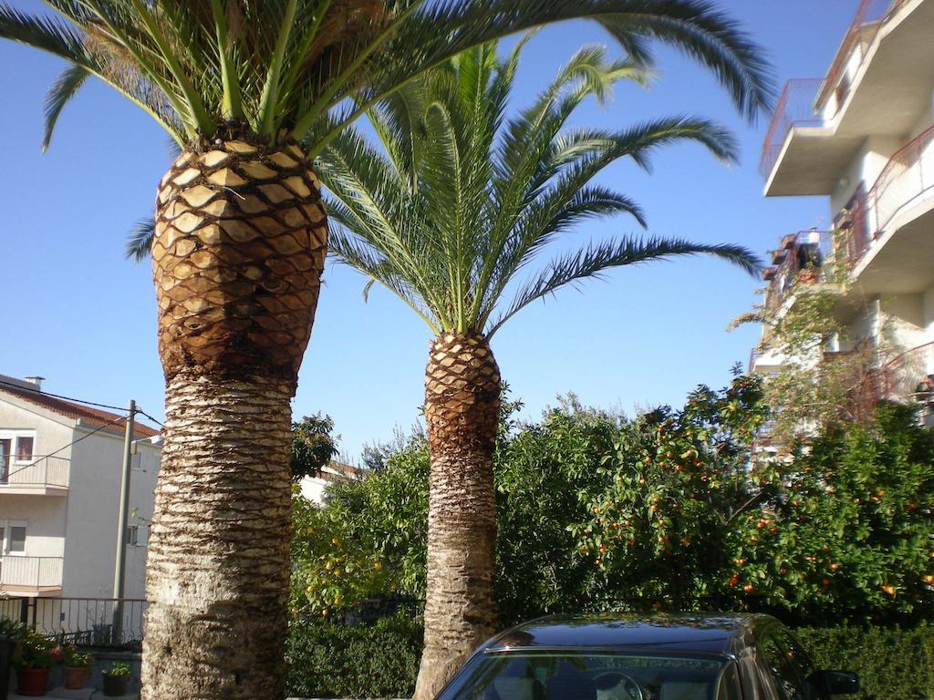 Apartmán Ante Split-podstrana